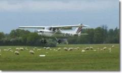 Cessna 172 Trial Flying Lesson