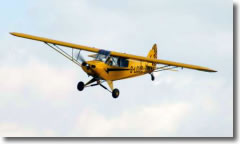 Piper Cub Flight